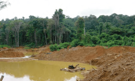 LʼUICN veut davantage de coopération entre les Guyanes