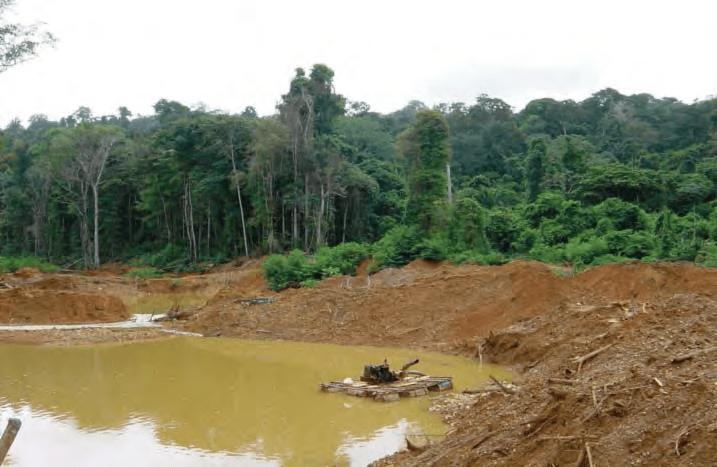 LʼUICN veut davantage de coopération entre les Guyanes