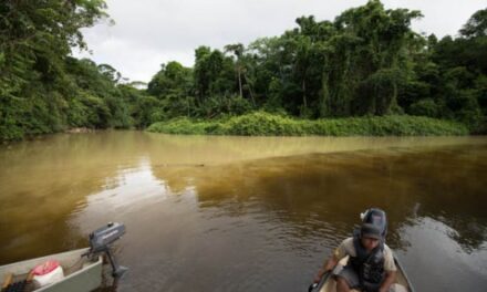 Orpaillage : de nouveaux outils judiciaires pour lutter contre les garimpeiros
