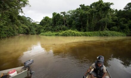 Orpaillage : de nouveaux outils judiciaires pour lutter contre les garimpeiros