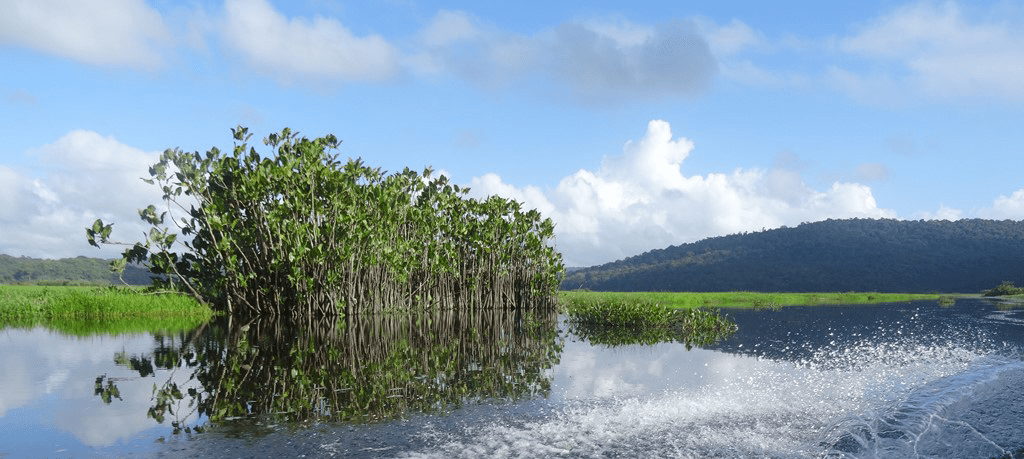 Marais de Kaw : la rixe continue entre la Deal et les acteurs du tourisme