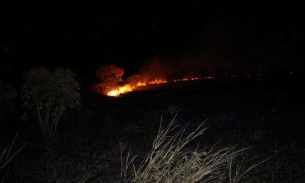 Feux de végétation : alerte exceptionnelle sur Cayenne, Matoury, Rémire-Montjoly et Kourou (Plage et CSG)