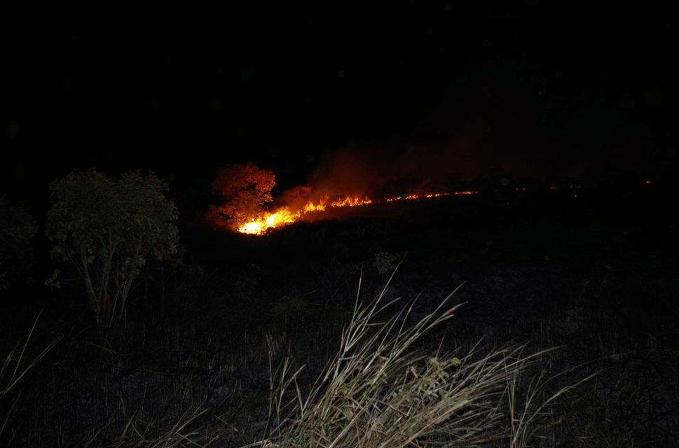 Feux de végétation : alerte exceptionnelle sur Cayenne, Matoury, Rémire-Montjoly et Kourou (Plage et CSG)