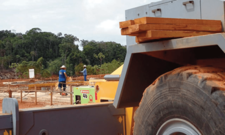 Les associations demandent un moratoire sur le projet de la « Montagne d’or » en Guyane