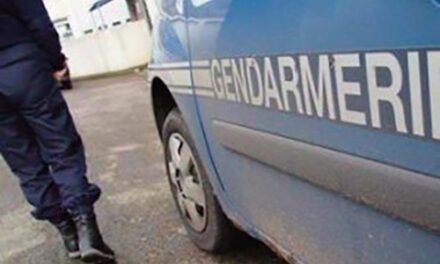 Guyane : quatrième meurtre par arme à feu en quatre semaines