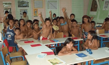 Les Wayampi de Guyane attendent des écoles et « la lumière dans les maisons »