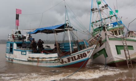 Les pêcheurs clandestins « tombent dans les filets » des FAG