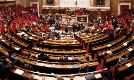 Vers la création d’un groupe ultramarin à l’Assemblée