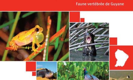 Biodiversité : 166 espèces à protéger en Guyane