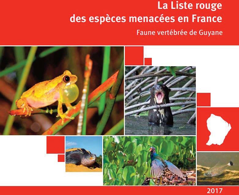 Biodiversité : 166 espèces à protéger en Guyane