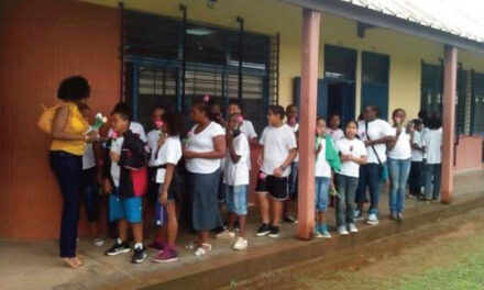 Contrats aidés : les maires de Guyane menacent de différer la rentrée scolaire