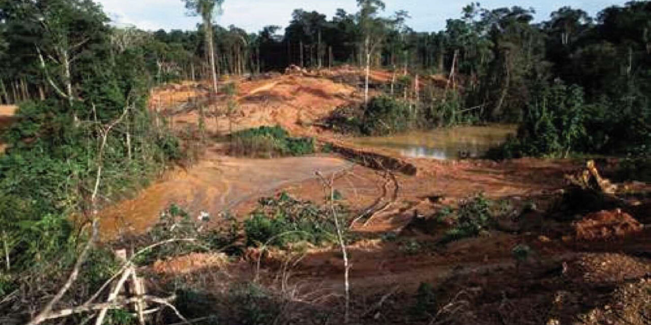 Le débat public sur le projet Montagne d’or démarre en mars sur internet et  en avril en Guyane