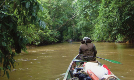 Fleuve Mana : attaque d’une pirogue des forces de l’ordre