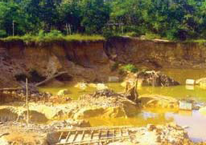 Fortes contaminations au plomb et au mercure en Guyane