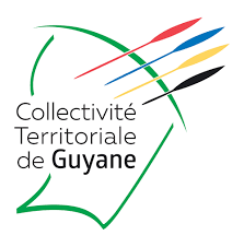 La collectivité territoriale de Guyane envisage d’entrer au capital du producteur d’or Auplata