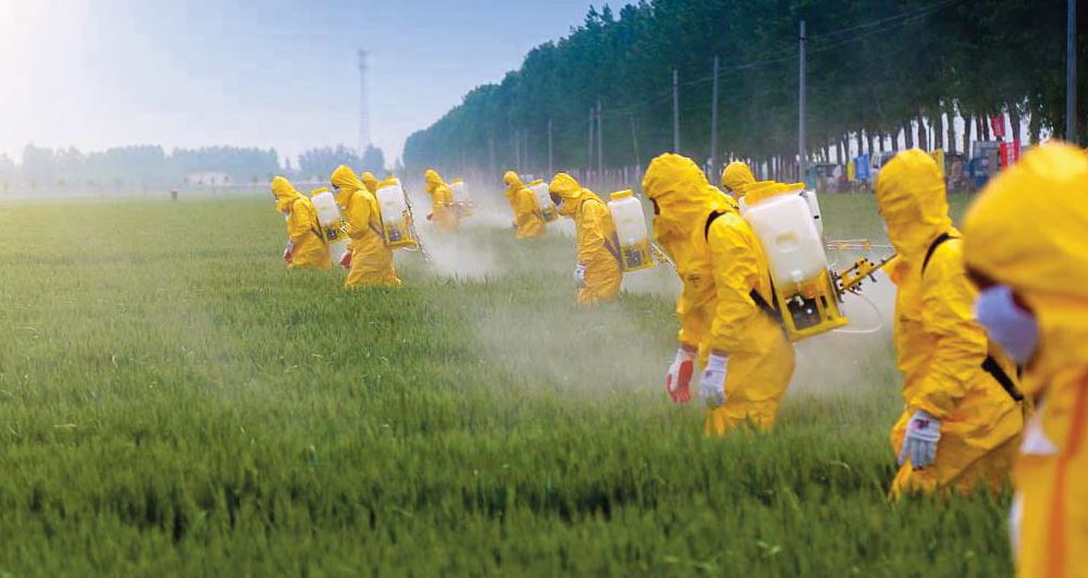 Pesticides, vers une indemnisation ?