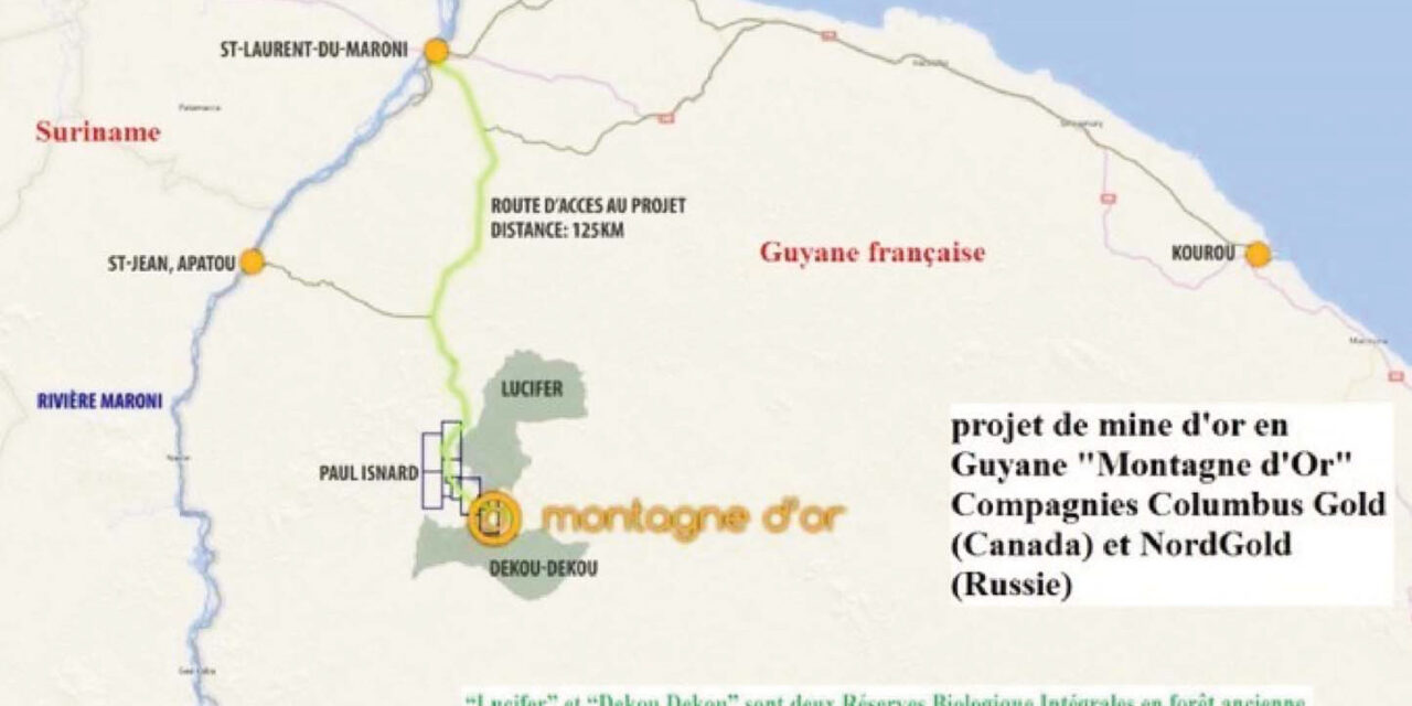 Le gouvernement veut évaluer les enjeux des projets aurifères en Guyane