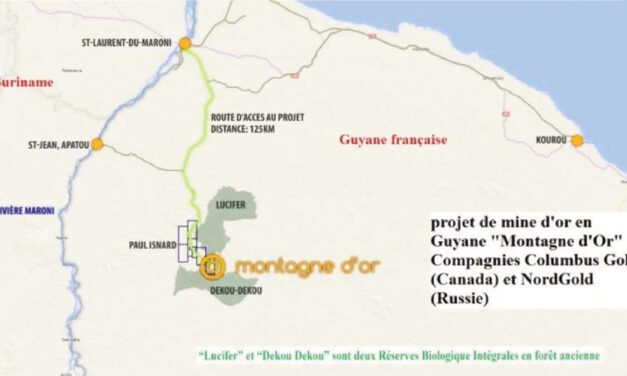 Le gouvernement veut évaluer les enjeux des projets aurifères en Guyane
