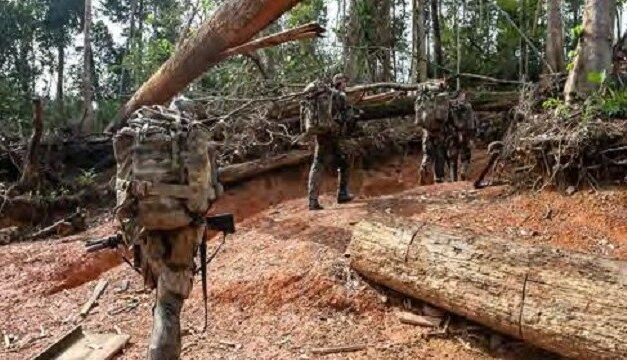 Wild & Legal regrette l’absence d’un angle sanitaire, social et écolo