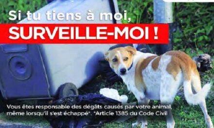 Une question de sécurité, biodiversité et souffrance animale