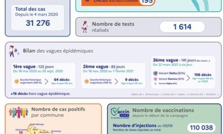 Covid-19 : la Guyane entre deux vagues, sans phase inter-épidémique