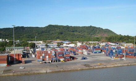 2020 : une année éprouvante mais un trafic maintenu au grand port maritime de Guyane