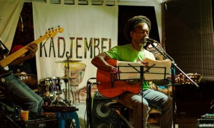 Enquête sur les pratiques culturelles : la musique, star des Antilles-Guyane