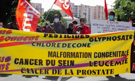 Cancer de la prostate des ouvriers agricoles : la maladie professionnelle bientôt reconnue