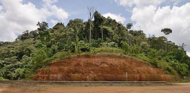 Montagne d’or : la compagnie conserve ses concessions