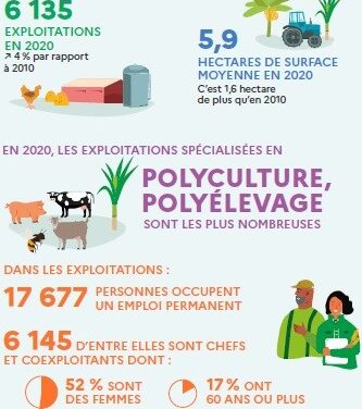 Augmentation continue du nombre d’exploitations agricoles en Guyane