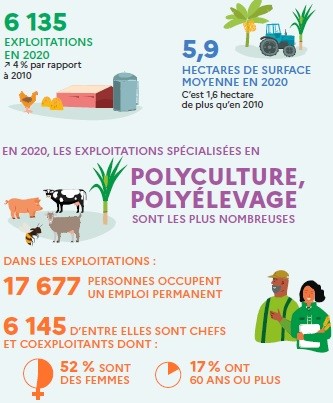 Augmentation continue du nombre d’exploitations agricoles en Guyane