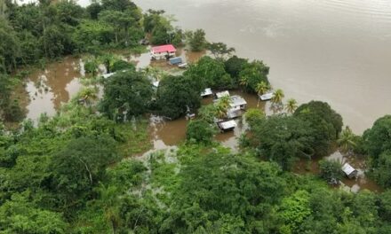Inondations : Georges Patient sollicite l’aide de l’État