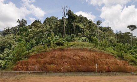 Une ordonnance adapte le code minier aux Outre-mer et notamment à la Guyane