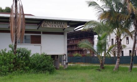 Bilan encourageant 8 ans après la création de l’Université de Guyane