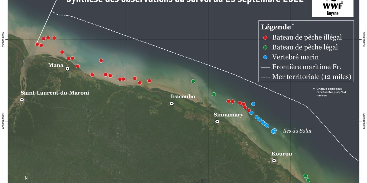 La pêche illégale bat de nouveaux records dans les eaux guyanaises