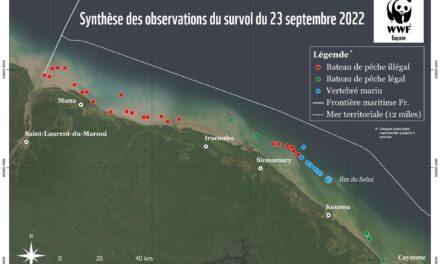 La pêche illégale bat de nouveaux records dans les eaux guyanaises