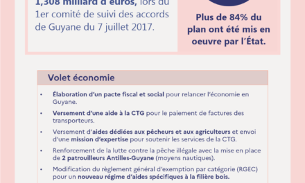 Volet économie et foncier du Plan d’urgence Guyane : des mesures à finaliser