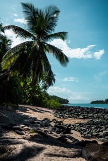 Comment les Guyanais ont-il voyagé en 2022 ?