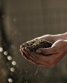 Comment améliorer le stockage du carbone dans les sols ultramarins ?