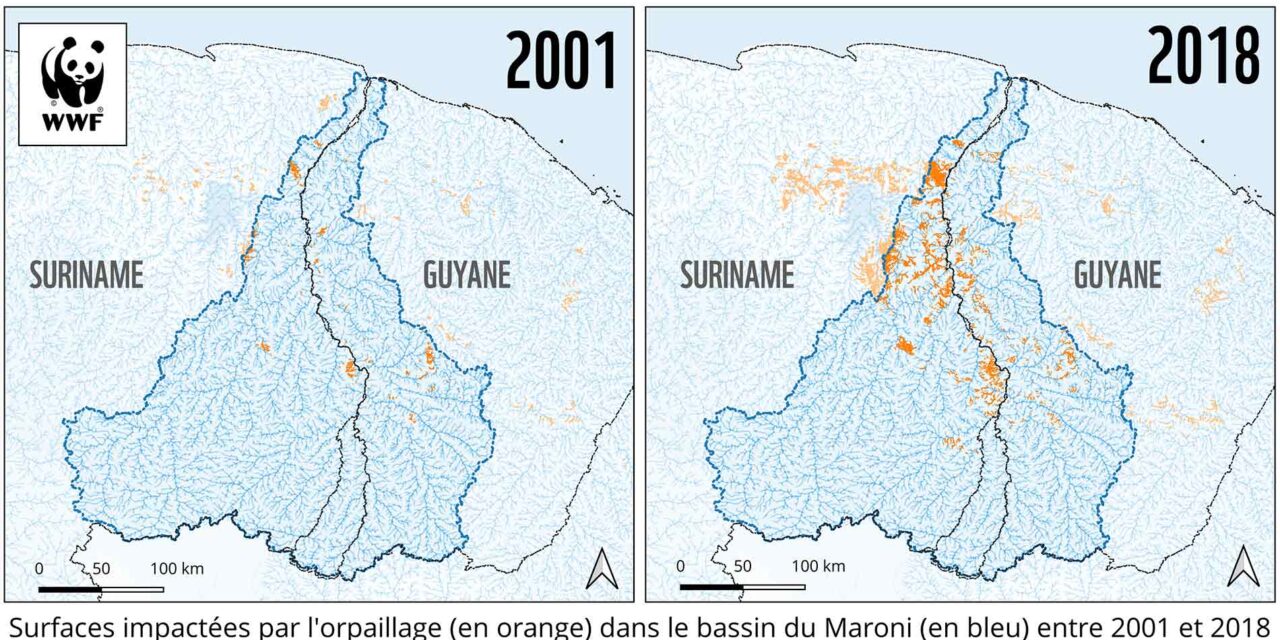 Pour une coopération transfrontalière renforcée contre l’orpaillage illégal