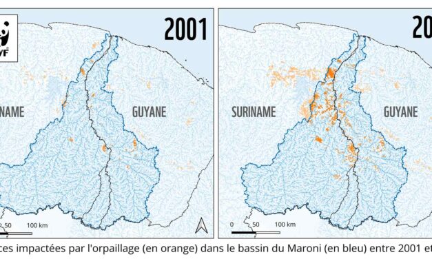 Pour une coopération transfrontalière renforcée contre l’orpaillage illégal