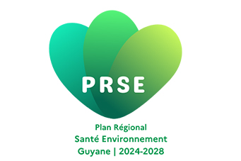Lancement d’une consultation publique sur les enjeux liés à la santé et l’environnement en Guyane