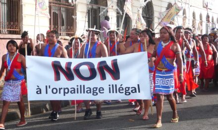 Des associations lancent une action contre l’État pour carence fautive dans la lutte contre l’orpaillage illégal