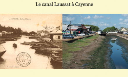 Un observatoire photographique des paysages de Guyane en ligne