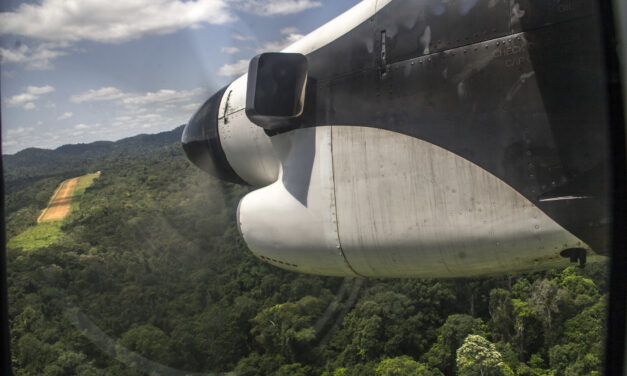 Fin de Air Guyane : un triumvirat de compagnies aériennes retenu pour assurer la délégation de service provisoire