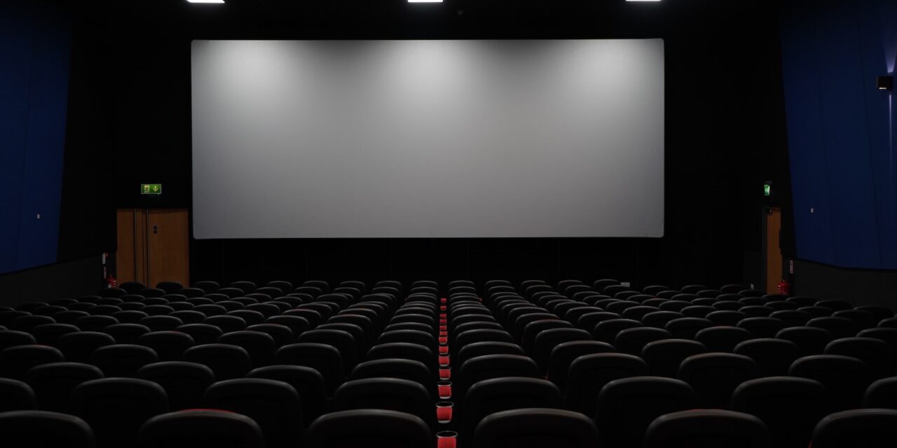 Pérennité des cinémas Outre-mer : après le Sénat, le texte sur le bureau de l’Assemblée