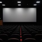 Pérennité des cinémas Outre-mer : après le Sénat, le texte sur le bureau de l’Assemblée