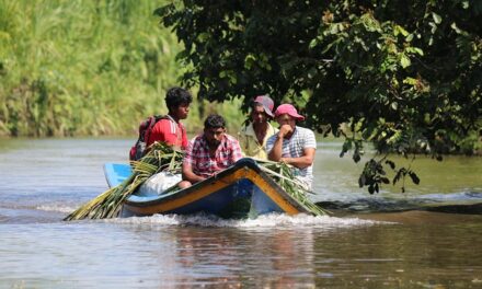 Comment aménager la Guyane tout en protégeant la forêt ?