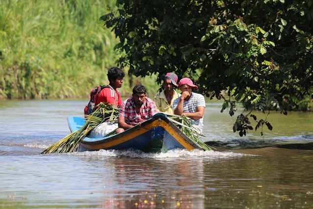 Comment aménager la Guyane tout en protégeant la forêt ?