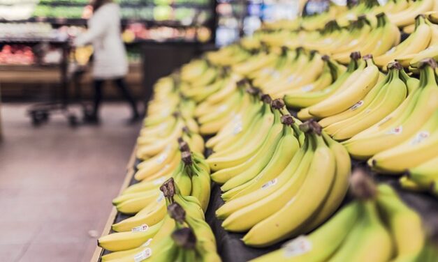 Une sécurité sociale alimentaire pour contrer la vie chère en Outre-mer ?